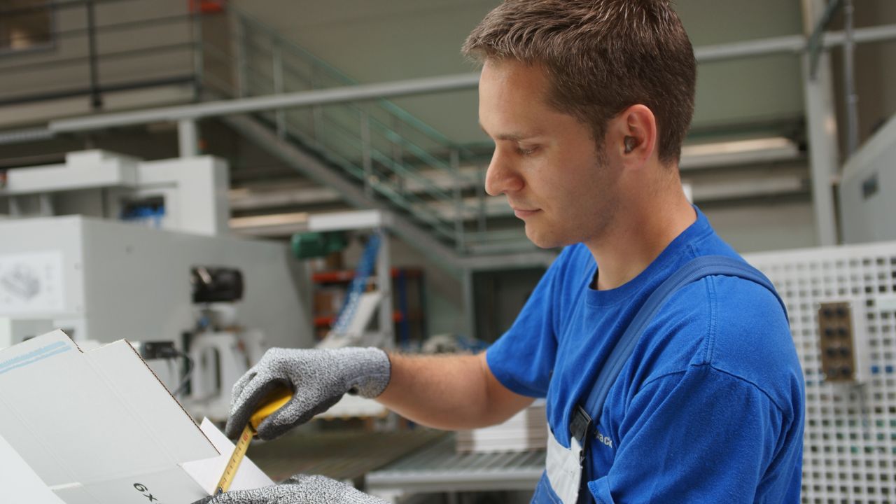 Warum Palm Palm Gruppe